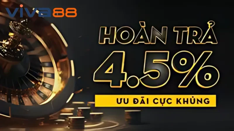 Khuyến Mãi Hoàn Trả Cực Hấp Dẫn Không Thể Bỏ Lỡ Tại Viva88