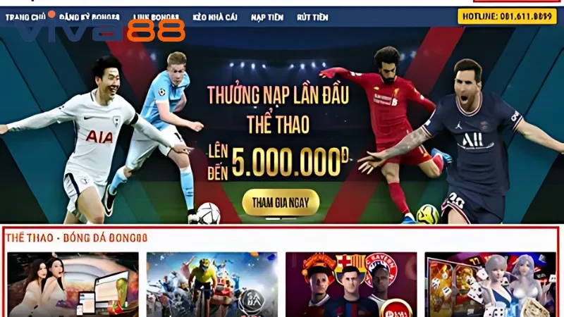 Hướng Dẫn Đăng Ký Viva88 Thành Công Để Trải Nghiệm Cá Cược