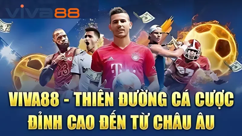 Về Chúng Tôi – Giá Trị Và Cam Kết Từ Nhà Cái Uy Tín Viva88