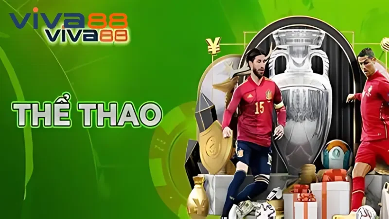 Về Chúng Tôi – Giá Trị Và Cam Kết Từ Nhà Cái Uy Tín Viva88