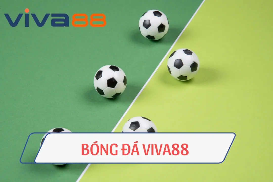 Bắn Cá ViVa88 - Chinh Phục Đại Dương Đầy Bí Ẩn Ngập Tràn