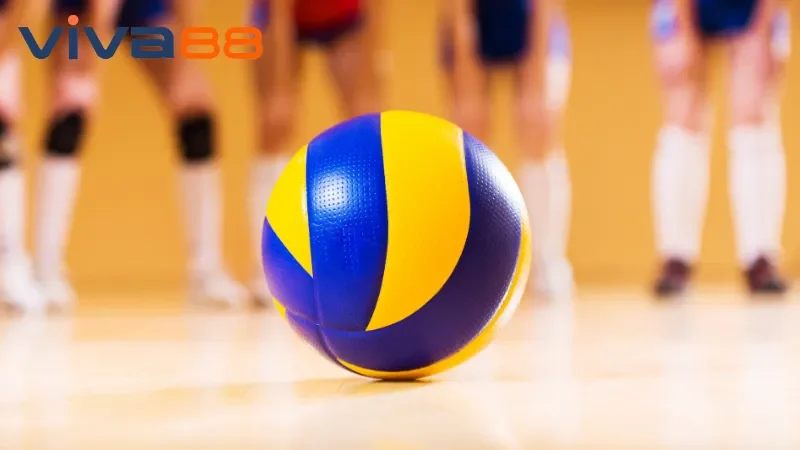 Bóng Chuyền Viva88 - Nơi Thỏa Sức Đam Mê Kiếm Tiền Tỷ