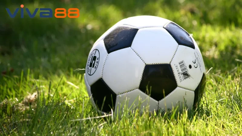 Bóng Đá Viva88 - Hòa Mình Vào Thế Giới Thể Thao Vua Độc Đáo