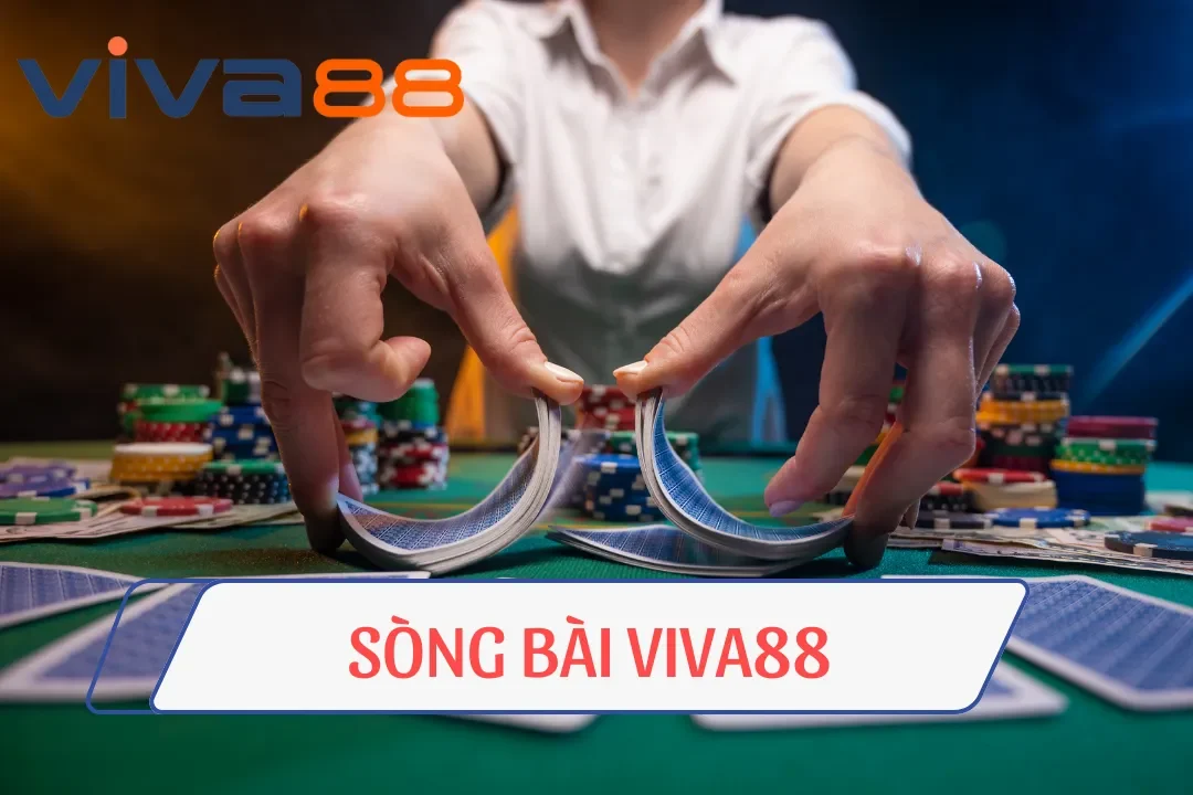 Viva88 🎖️ Đại Lý Bong88 | Link Nhà Cái Cá Cược Uy Tín 2026