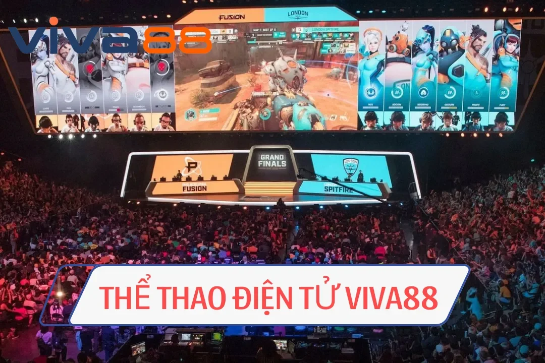 Viva88 🎖️ Đại Lý Bong88 | Link Nhà Cái Cá Cược Uy Tín 2026