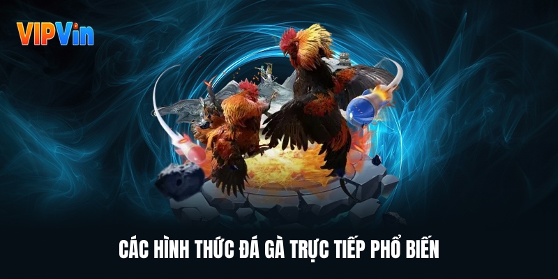 Đá Gà Trực Tiếp – Trải Nghiệm Cá Cược Hấp Dẫn Mỗi Ngày