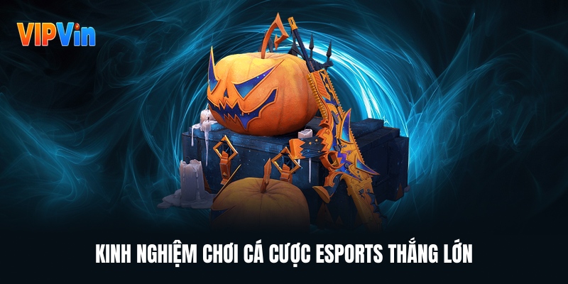 Cá Cược Esports – Làn Sóng Giải Trí Mới Khuấy Động Thế Giới