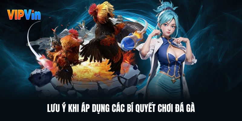 Đá Gà Vipwin – Cá Cược Đá Gà Trực Tuyến Uy Tín Hấp Dẫn