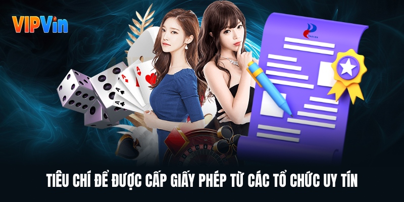 Giấy Phép Hoạt Động Minh Chứng Cho Năng Lực Của VIPWIN