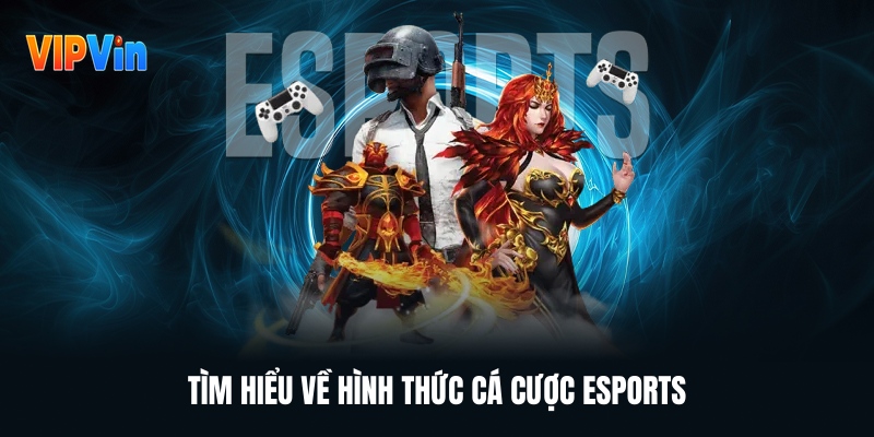 Cá Cược Esports – Làn Sóng Giải Trí Mới Khuấy Động Thế Giới