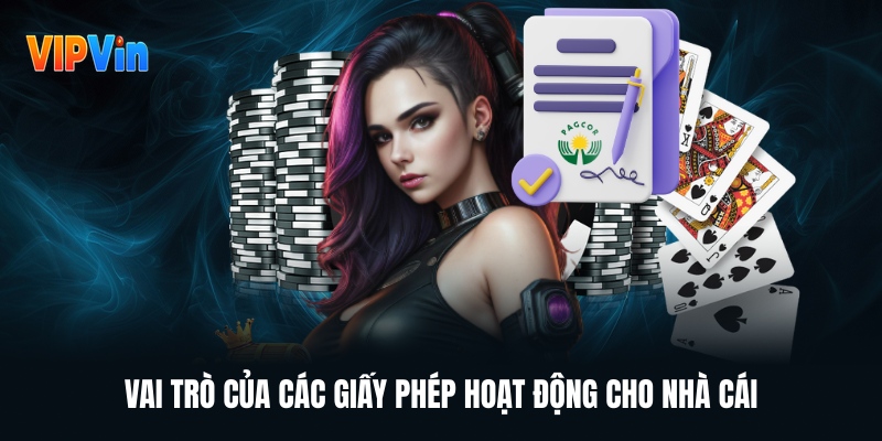Giấy Phép Hoạt Động Minh Chứng Cho Năng Lực Của VIPWIN